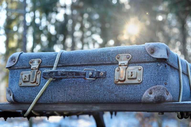 Portable Luggage Scale